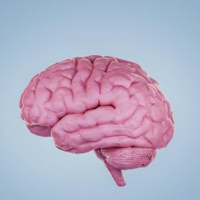 Do you have a middle-ageing brain?