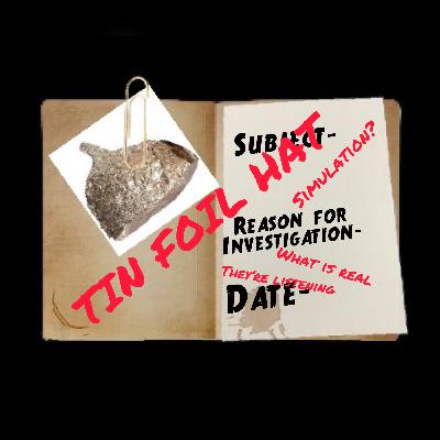 Tin Foil Hat- Simulation Theory