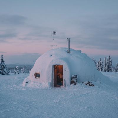 Afsnit 341: Roadtrip med Andrew Tate