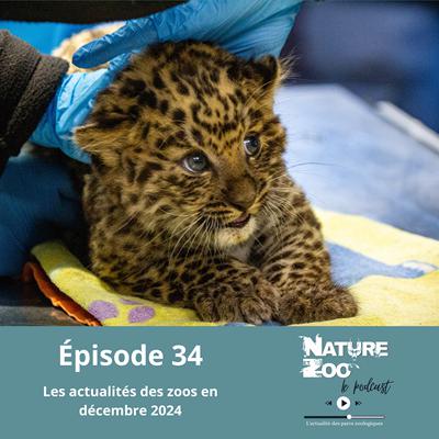 Épisode 34 (ACTU) - Les actualités en décembre 2024