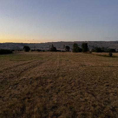 005: Mr Guenters in der Bücherei