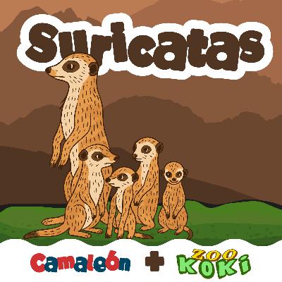 Suricatas: Vigilantes con gafas