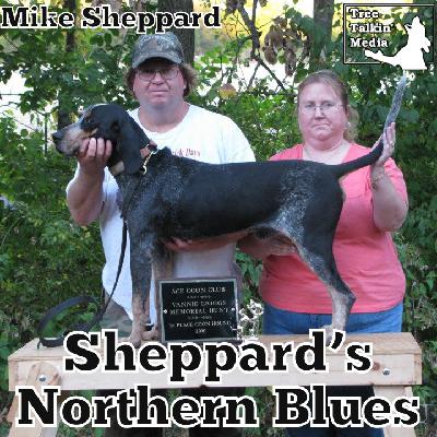 182. Sheppard's Northern Blues