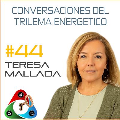 044 - Conclusiones del Apagón 044 - Conclusiones del Apagón