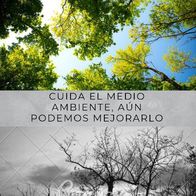 Cuida el medio ambiente aún podemos mejorarlo
