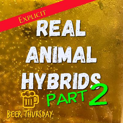 The Rise of Cabbits, Ligers, and Zonkeys! [Hybrid Animals, Part 2]