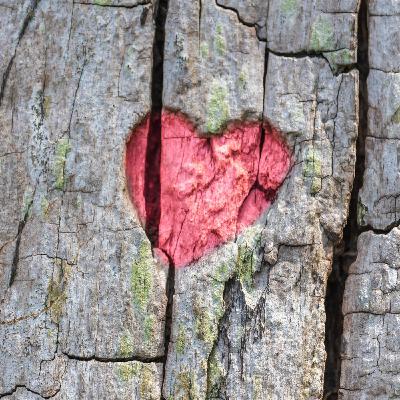 318 – Loving Your Enemies: Extending Metta Does Not Mean Capitulation