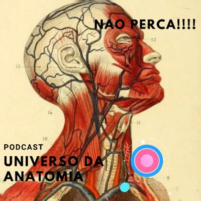 HISTÓRIA DA ANATOMIA