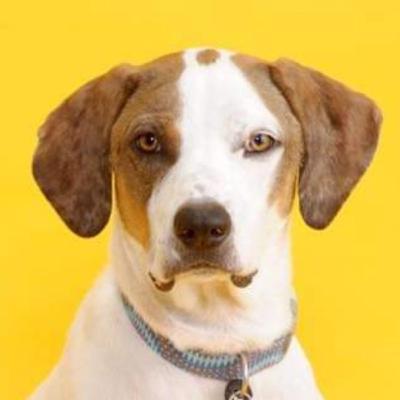 Visiting the Netherlands