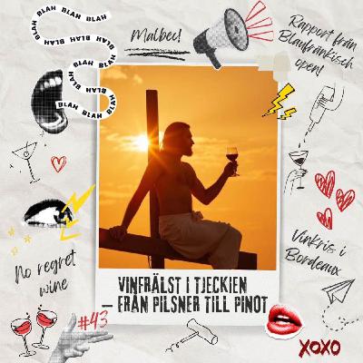 43: Vinfrälst i Tjeckien – från pilsner till pinot 43: Vinfrälst i Tjeckien – från pilsner till pinot