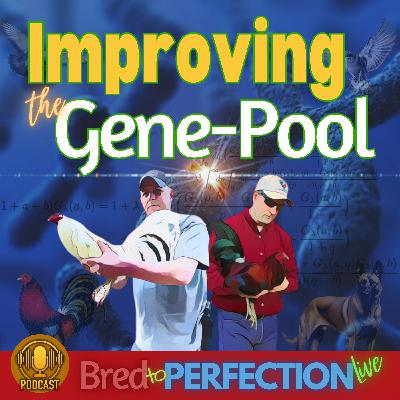 Ep271 -  CLEANING UP THE GENE POOL - Essential Steps to Purify Your Bloodline and Create the Strain You Desire
