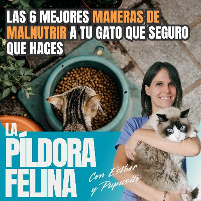 523. Las 6 mejores MANERAS DE MALNUTRIR a tu gato que seguro que haces