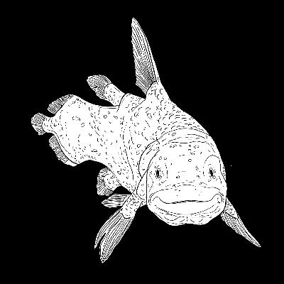 The Coelacanth