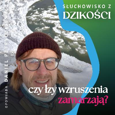 O łzach wzruszenia, które nie zamarzają