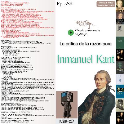 #386 LA CRÍTICA DE LA RAZÓN PURA #Día17 | IV: Los postulados del pensar empírico en general