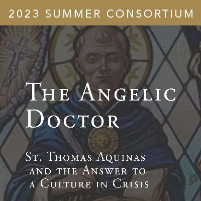 Truth in Charity: Aquinas on Conscience | Sr. Catherine Joseph Droste, O.P.