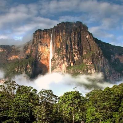 222. Venezuela também tem biomassa 222. Venezuela também tem biomassa