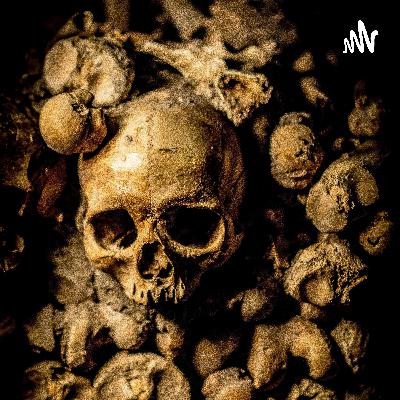 Episode 2: Egos and Expectations