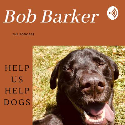 The story of Bill. The story of Bill.