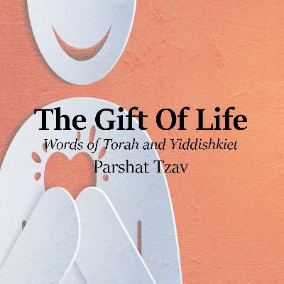 The Gift of Life