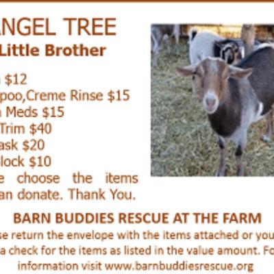 51 years of animal rescue w Sharon Linsenbardt on The Farm in #LasVegas