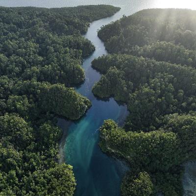 The conservation sector must speak truth to power, says political ecologist