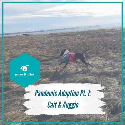 Pandemic Pet Adoption Part 1 - Cait & Auggie