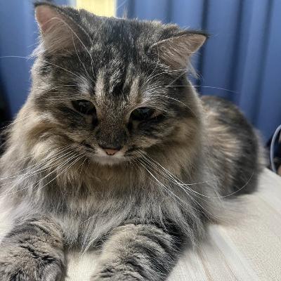 test20250316