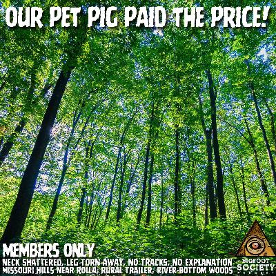 Something CRUSHED My Pet Pig in Rural Missouri… and the Woods Went Silent | Member's Only Episode A15 PREVIEW