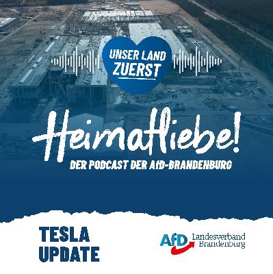 TESLA UPDATE TESLA UPDATE
