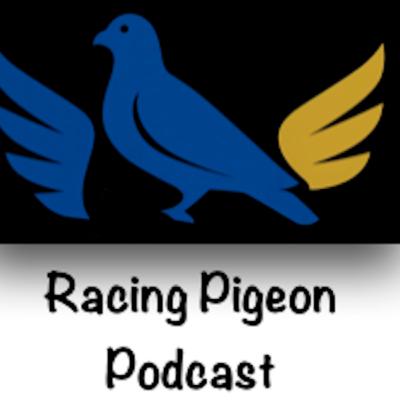 S01E13 Why are One loft Race registrations down?