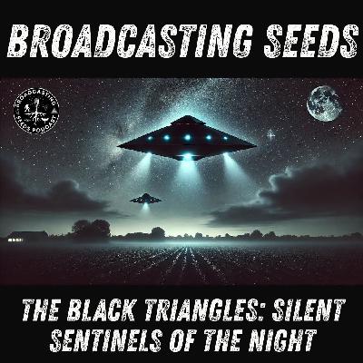 The Black Triangles: Silent Sentinels of the Night The Black Triangles: Silent Sentinels of the Night
