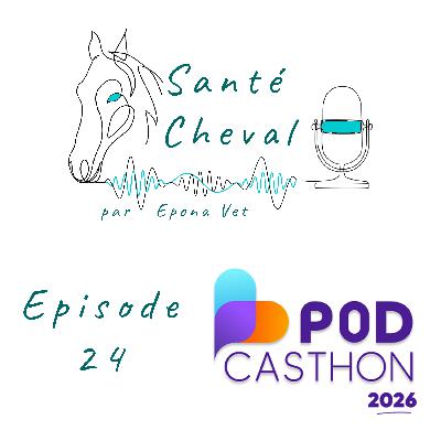 Ep.24 – La Fresque des activités équine – Spécial Podcasthon 2026 Ep.24 – La Fresque des activités équine – Spécial Podcasthon 2026
