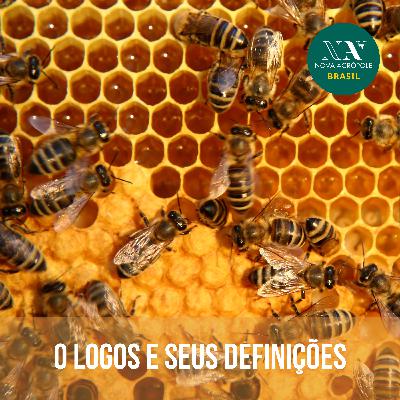 O Logos e as suas definições