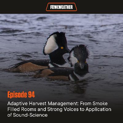 Ep. 94 – Adaptive Harvest Management: From Smoke Filled Rooms and Strong Voices to Application of Sound-Science