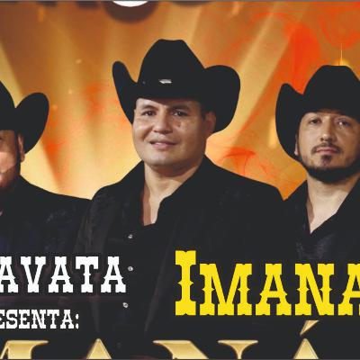 Entrevista con IMANA