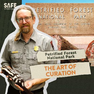 Petrified Forest National Park: The Art & Science of Museum Curation with Curator Matt Smith