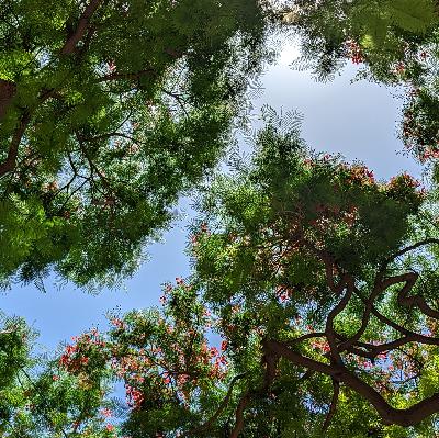 Yoga Nidra - Finding Your Transition Into Summer