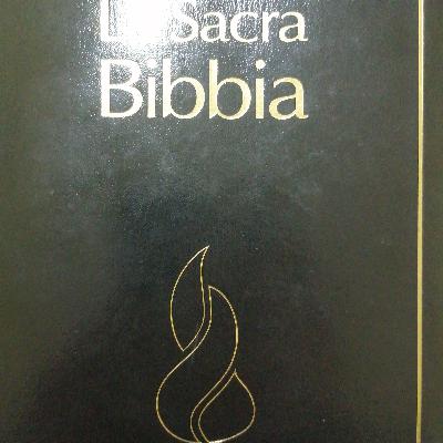 Meditazioni della sera