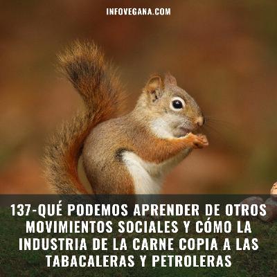 137- QUÉ PODEMOS APRENDER DE OTROS MOVIMIENTOS SOCIALES Y CÓMO LA INDUSTRIA DE LA CARNE COPIA A LA TABACALERA | Infoveg 137- QUÉ PODEMOS APRENDER DE OTROS MOVIMIENTOS SOCIALES Y CÓMO LA INDUSTRIA DE LA CARNE COPIA A LA TABACALERA | Infoveg