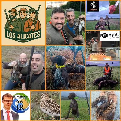 EL MORRAL DEL CAZADOR 16-01-2026 PROG 463 "DESCUBRIENDO A LA AGACHADIZA O BECACINA CON LA CUADRILLA DEL ALICATE".