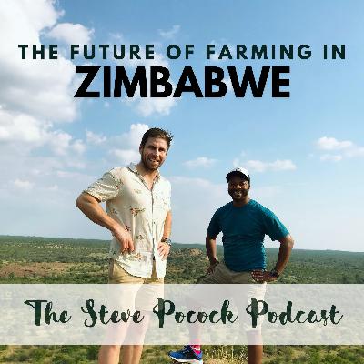 The Future of Farming in Zimbabwe — Ep. 6: From Rhetoric to Reality
