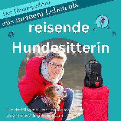 #4 Ein Hundesit zum Abgewöhnen!