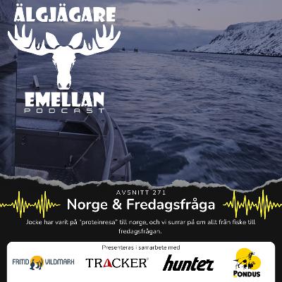 271. Norge & Fredagsfråga 271. Norge & Fredagsfråga