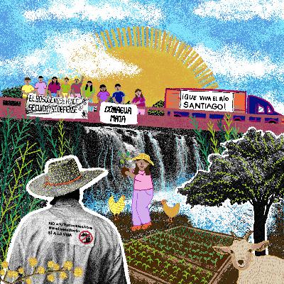 Programa 180. Jalisco: Un vivero comunitario para defender el río y la vida