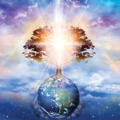 Méditation retrouver son enracinement Méditation retrouver son enracinement