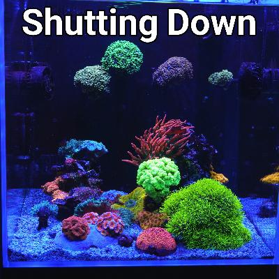 Why I'm Closing Down a 2 Year Old Tank | The Prestige Reef Dork Show Ep 104