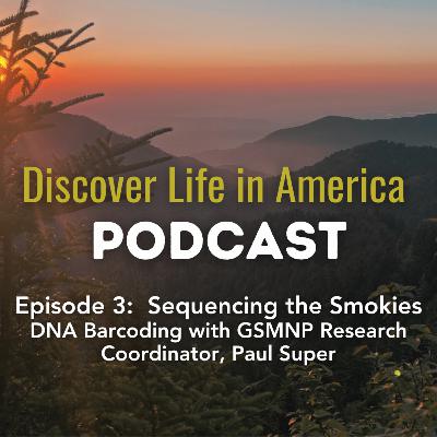 Episode 3: Sequencing the Smokies: DNA Barcoding with Paul Super, Research Coordinator at GSMNP