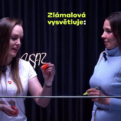 Zlámalová vysvětluje: Co se to vlastně děje v USA?