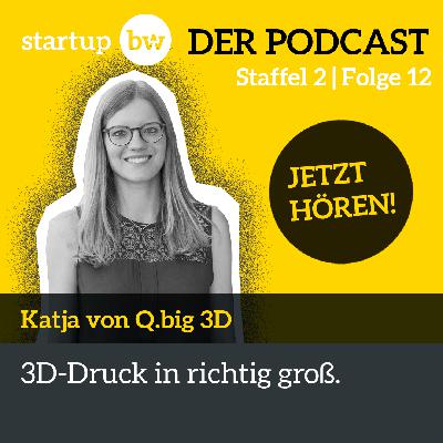 #12 Q.big 3D - Große Bauteile aus dem Drucker